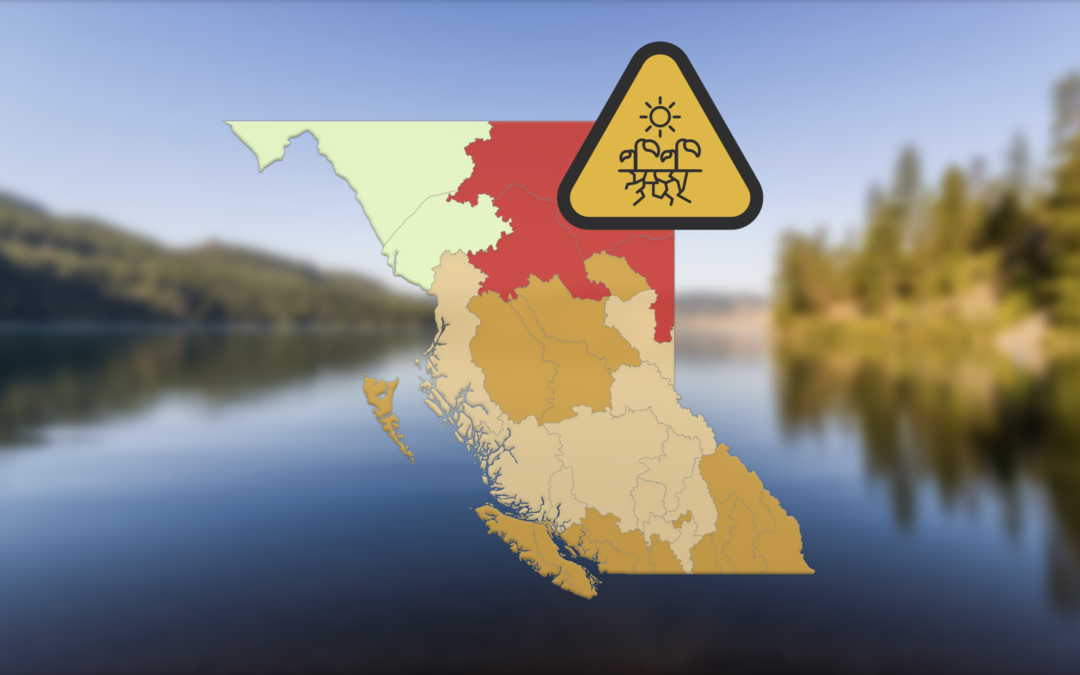 How to conserve water while B.C. is warned of drought conditions