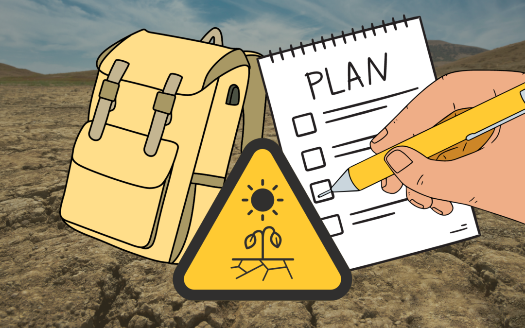 Navigating Droughts: How water conservation can make a difference