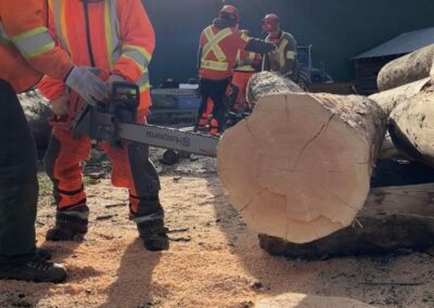 chainsaw wildfire training students