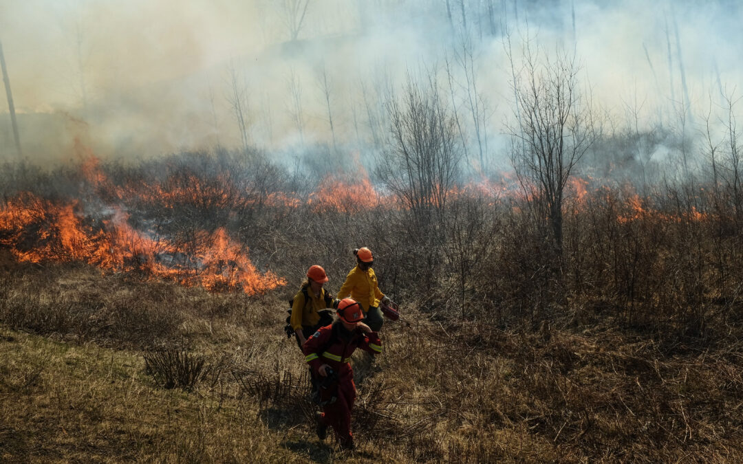 Gitanyow Celebrates Spring Cultural Burning Through Art and Fire Stewardship